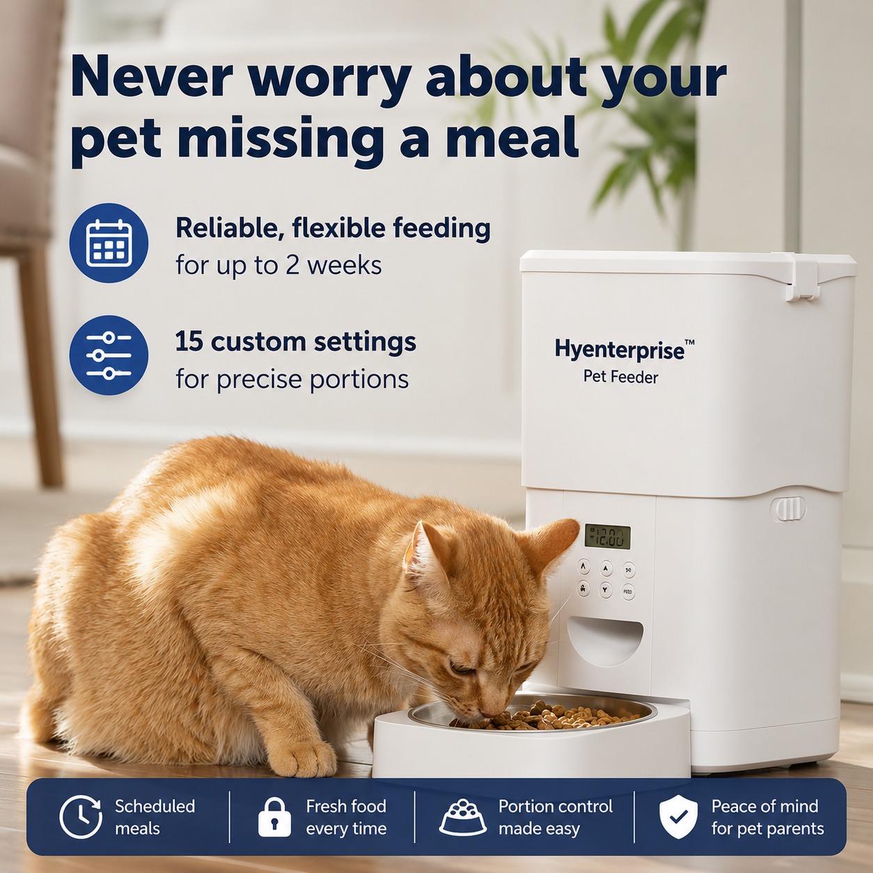 Corgi next to the Hyenterprise feeder