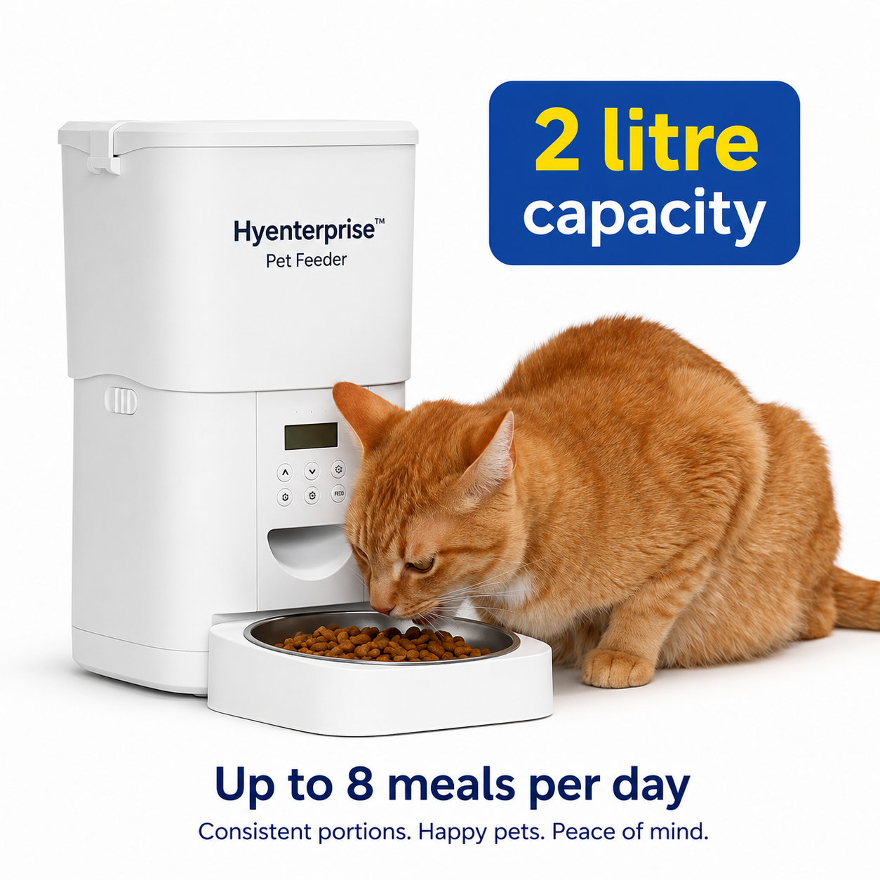Happy tabby cat eating from the Hyenterprise feeder